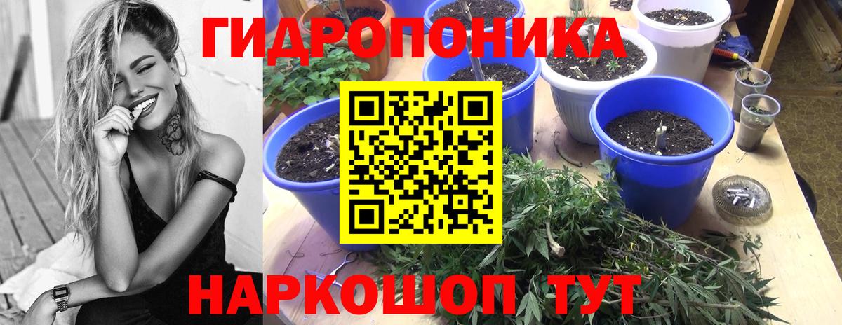 Бошки Шишки OG Kush Касимов